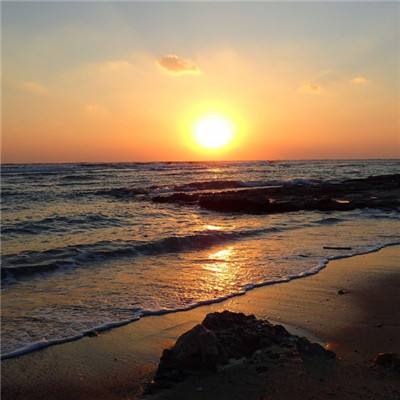 开云网kaiyun手机app下载