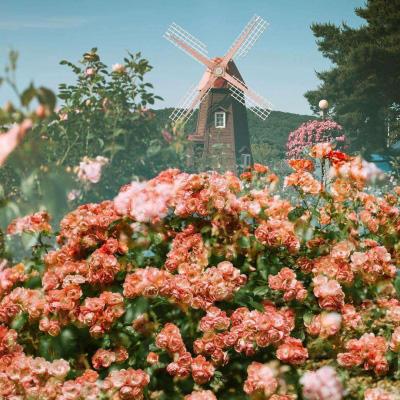 4688美高梅登录中心