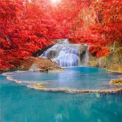 乐鱼体育app下载