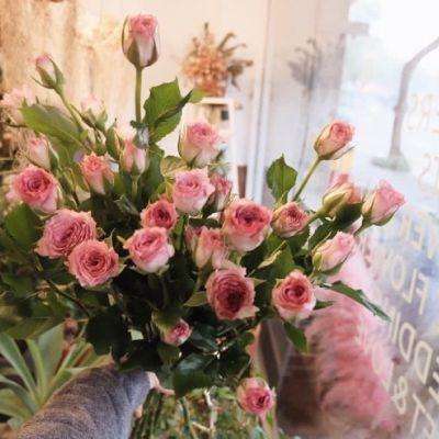 开元棋脾下载手机版