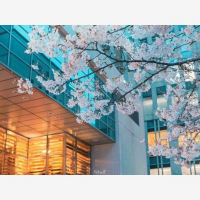 ng体育电子游戏下载手机版