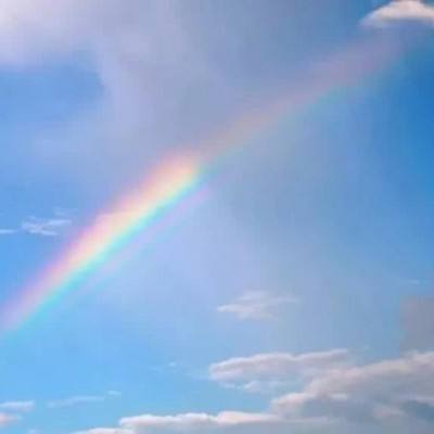 ManBetX网页版登录页面