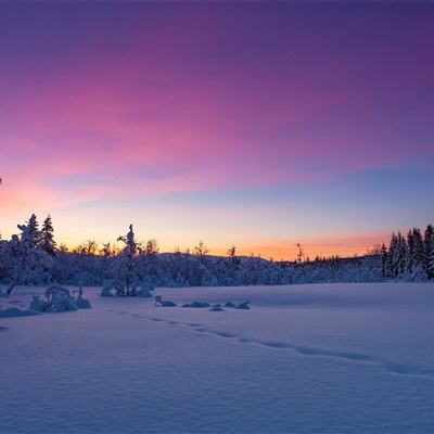 炸金花单机游戏app下载