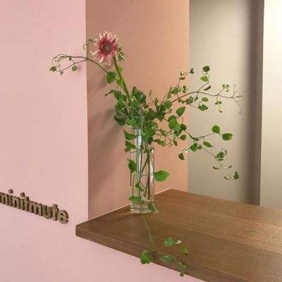 澳门一码一肖一特一中app下载