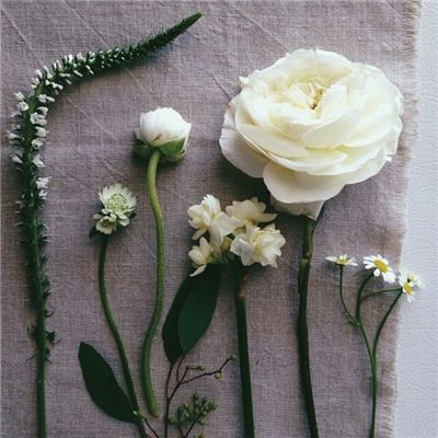 域网棋牌app下载