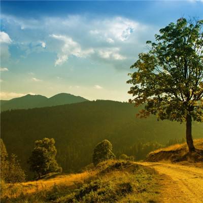 宝威体育手机app下载