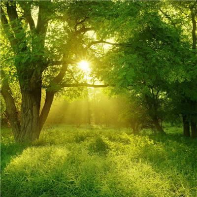 云开·全站APP登录入口